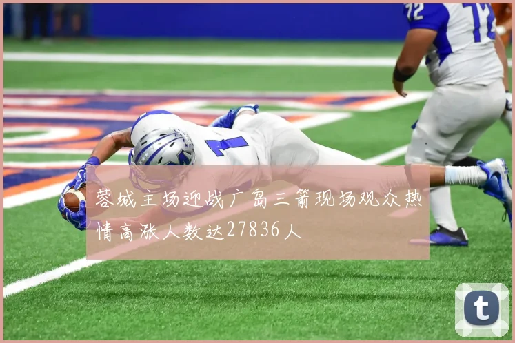 蓉城主场迎战广岛三箭现场观众热情高涨人数达27836人