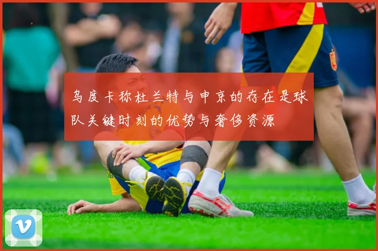 乌度卡称杜兰特与申京的存在是球队关键时刻的优势与奢侈资源